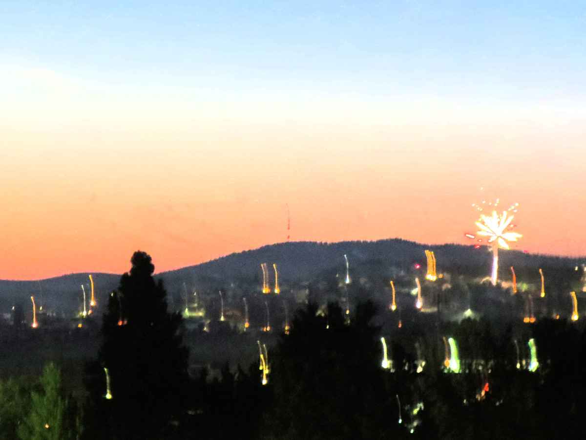 Fireworks by Susan Fluegel